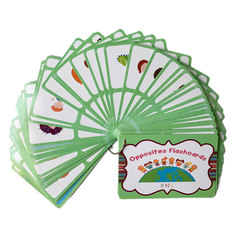 The 100 Groups Opposites Flash - Kids Education School review and price