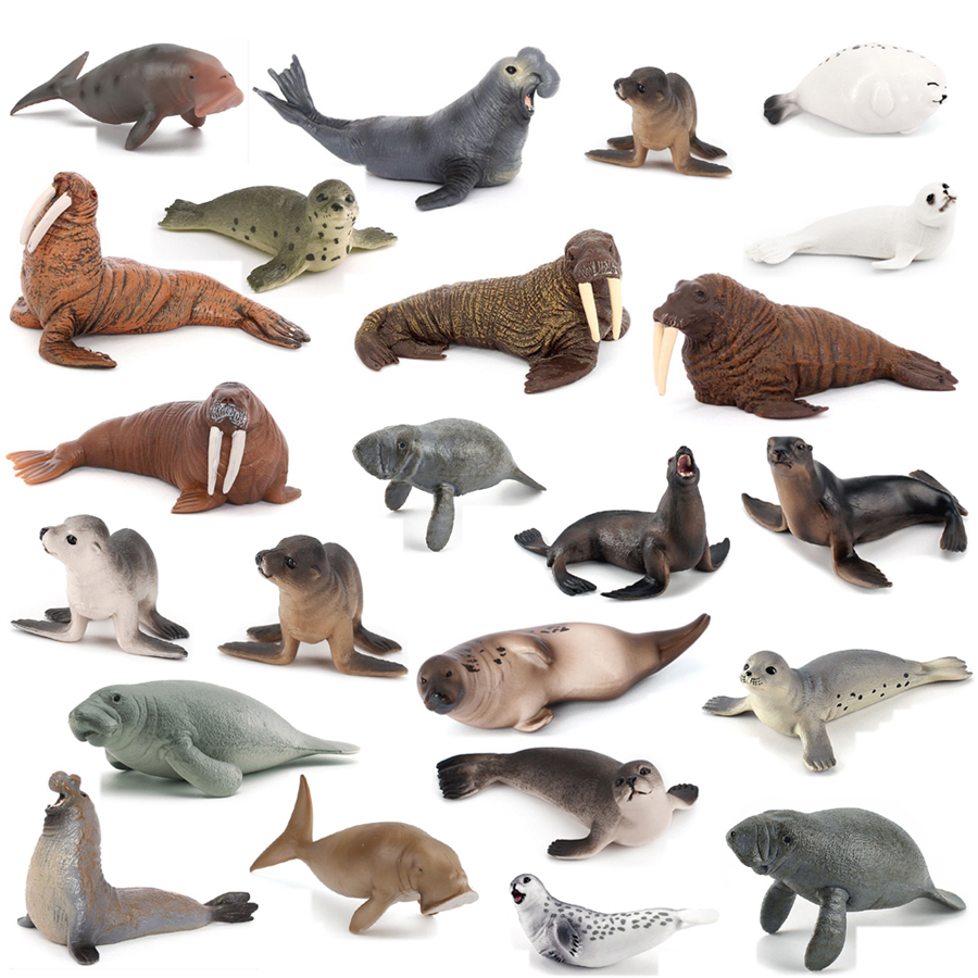 Realistic Dugong Manatee Walru - Kids Educational Game review and price
