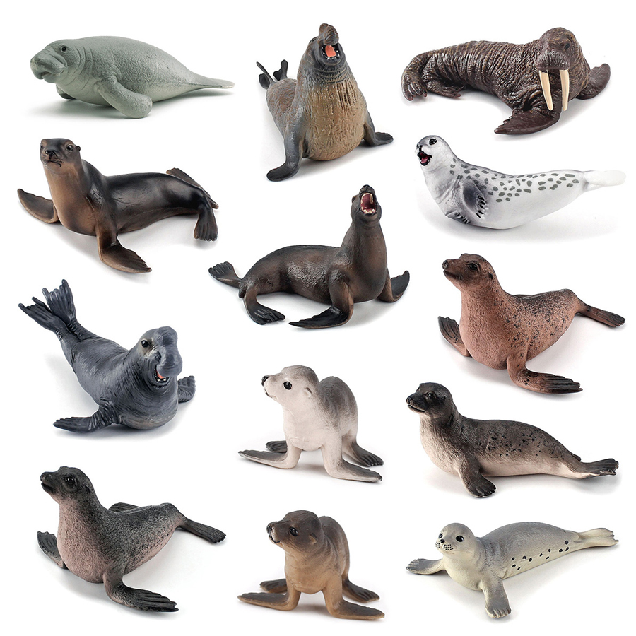 Realistic Dugong Manatee Walru - Kids Educational Game review and price