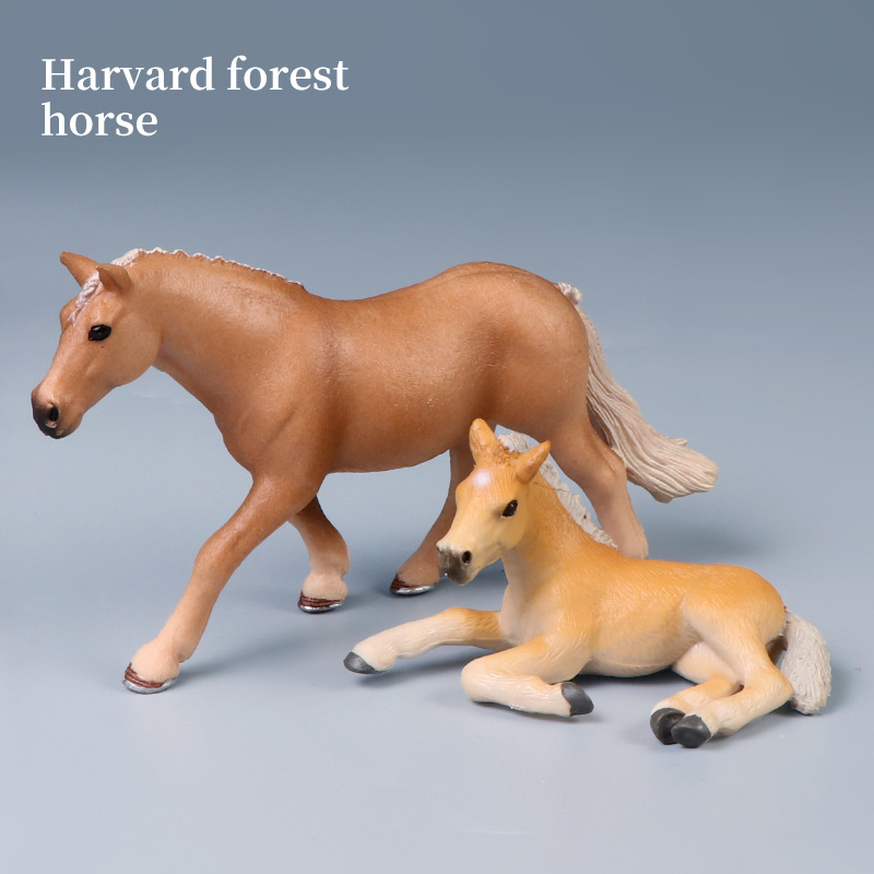 Winged Steed Model Action Figu - Kids Educational Box review and price