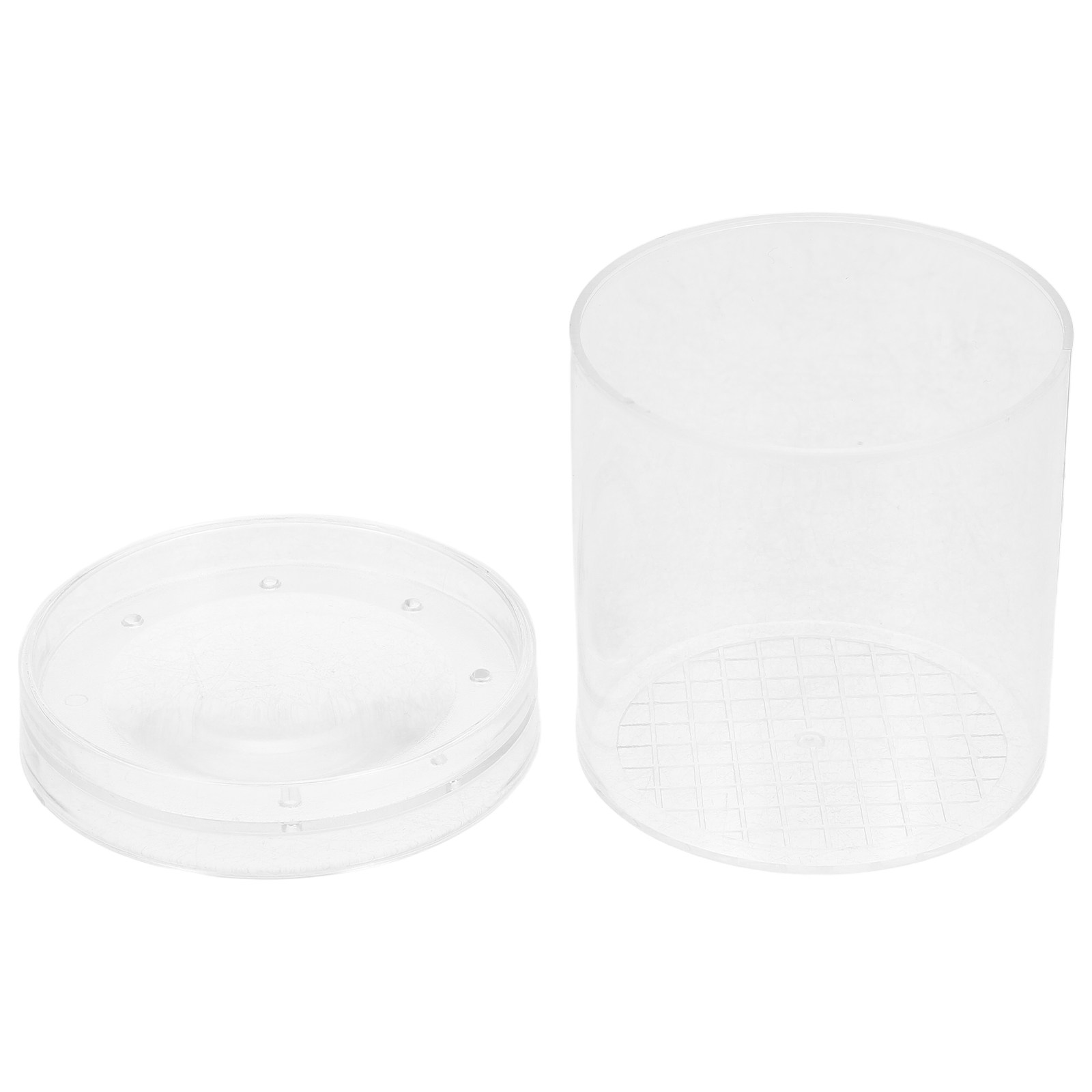 3X Magnifying Insect Observati - Kids Outdoor Education review and price