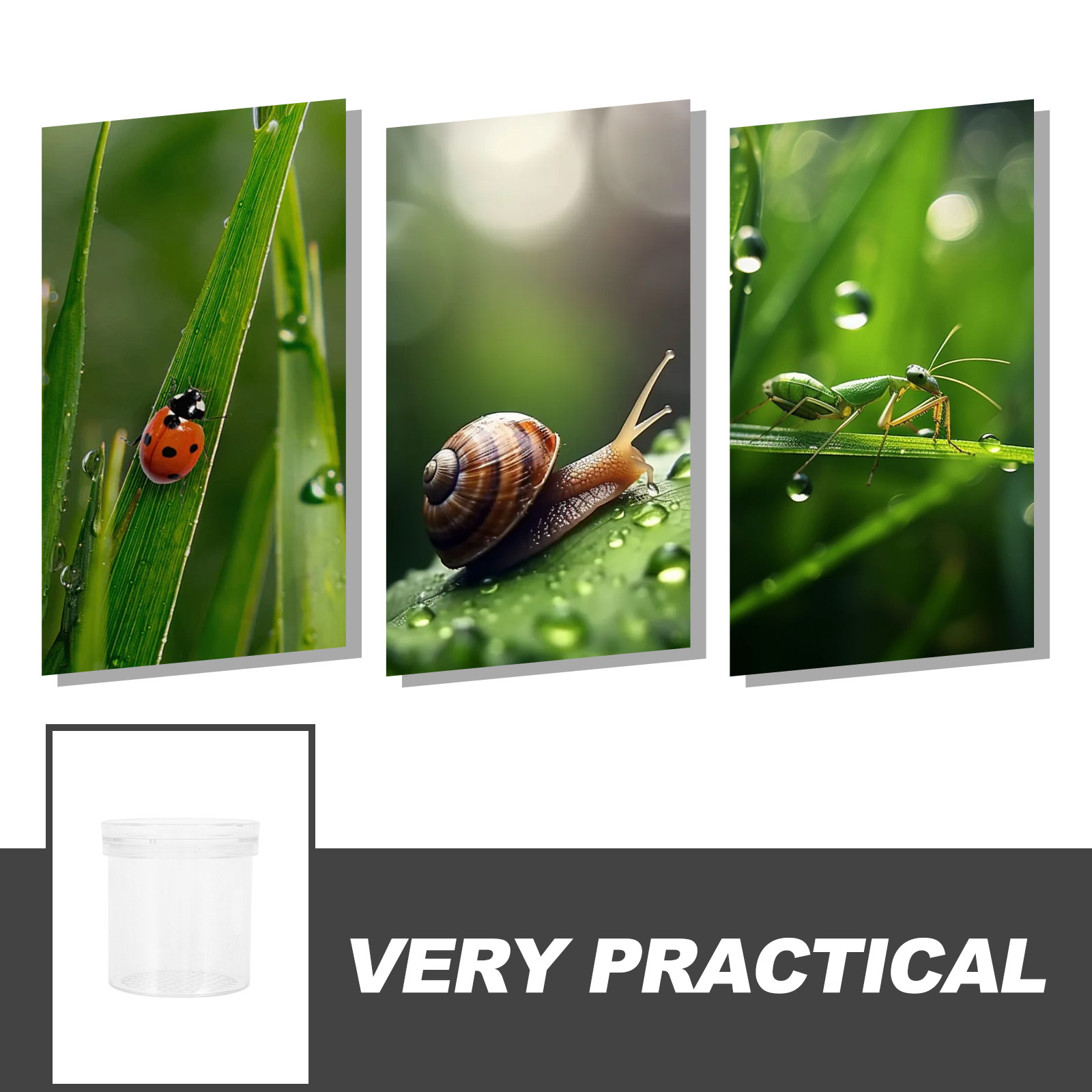 3X Magnifying Insect Observati - Kids Outdoor Education review and price