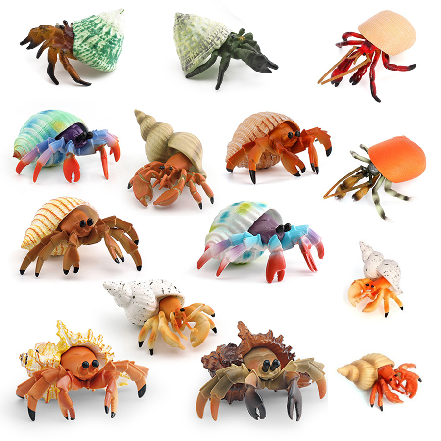 Realistic Hermit Crab Figurine - Kids Educational Game review and price