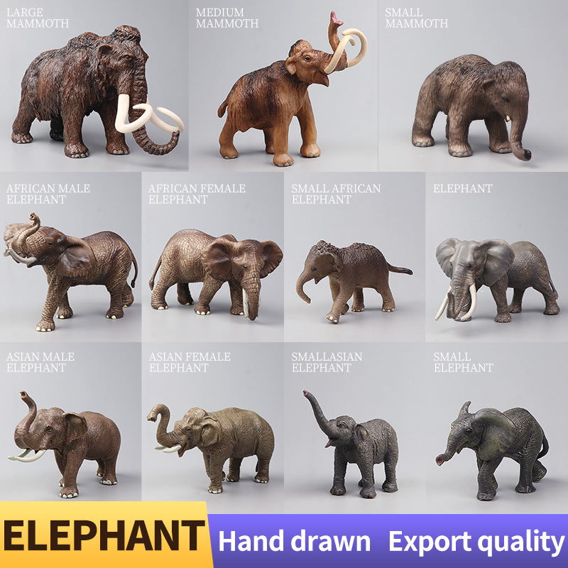 African Wild Animals Big Mammo - Kids Educational Box review and price