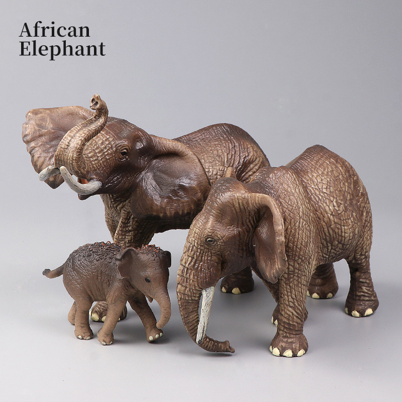 African Wild Animals Big Mammo - Kids Educational Box review and price