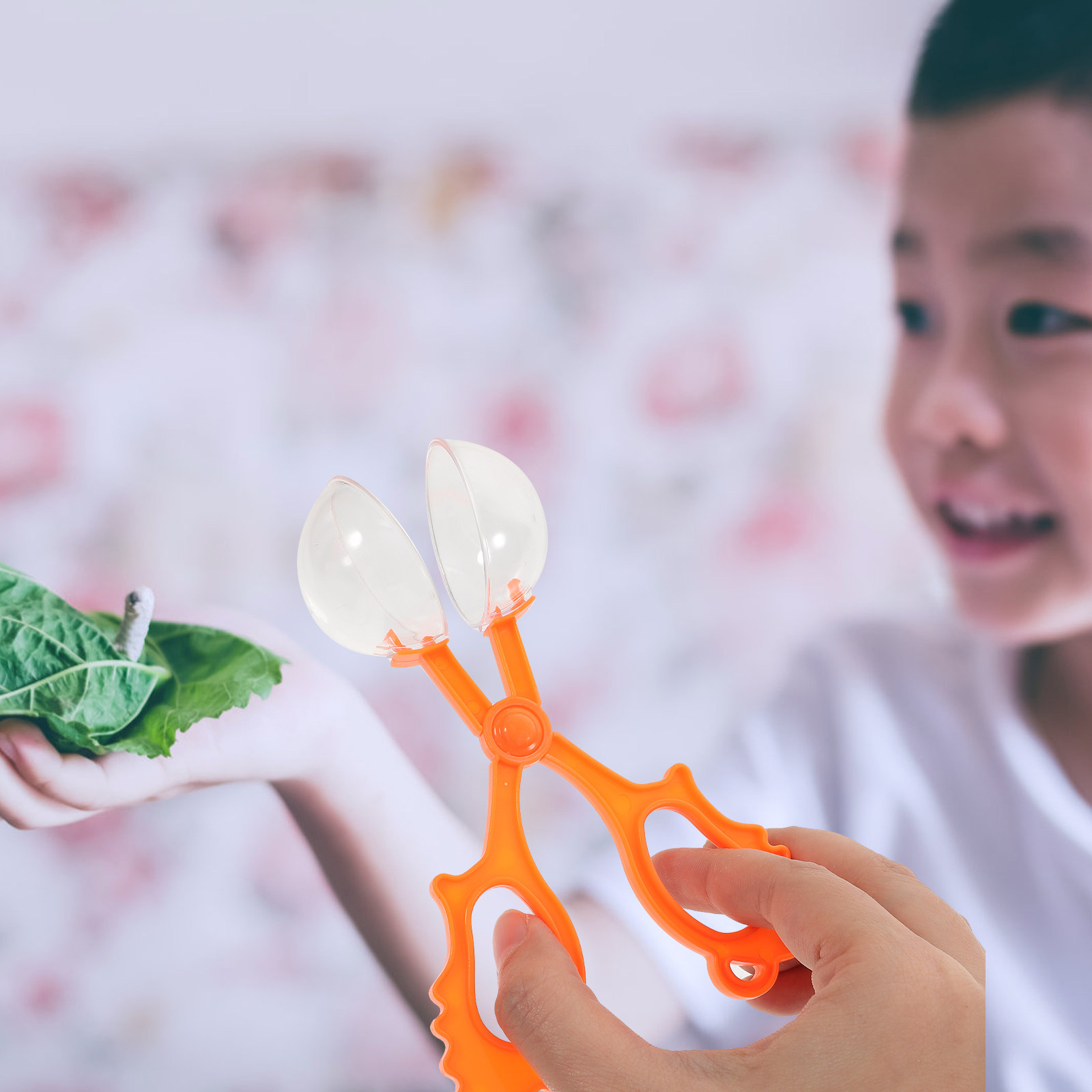 5Pcs Assorted Color Insect Cat - Kids Outdoor Education review and price