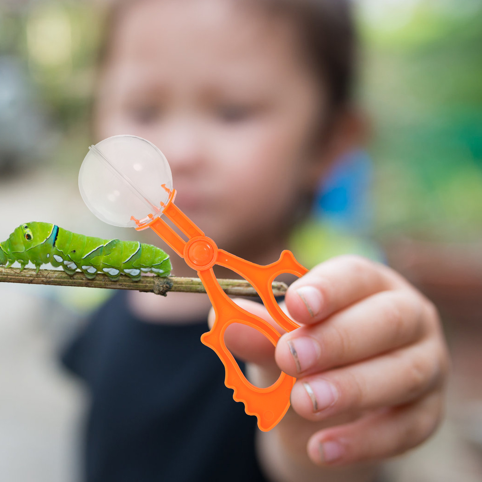 5Pcs Assorted Color Insect Cat - Kids Outdoor Education review and price