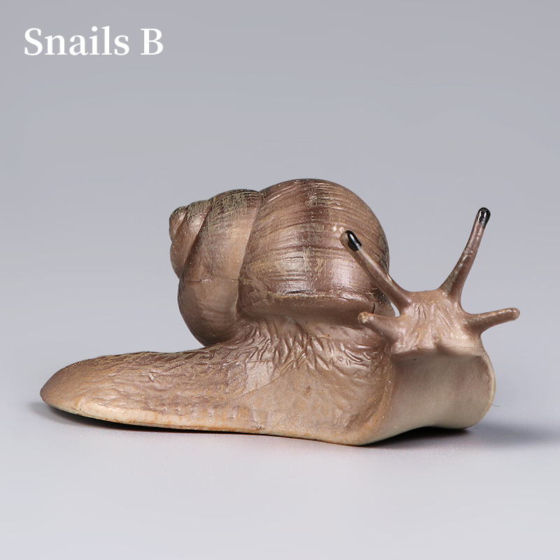 Educational Snail Action Figur - Kids Educational Box review and price