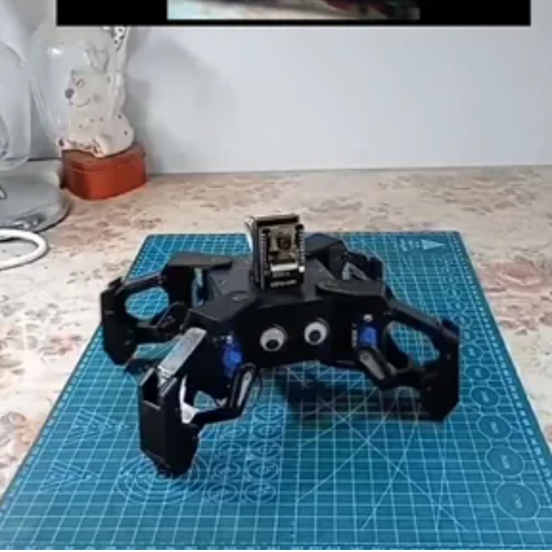 SG90 Video Robot Spider with C - Coding Robot Toy review and price