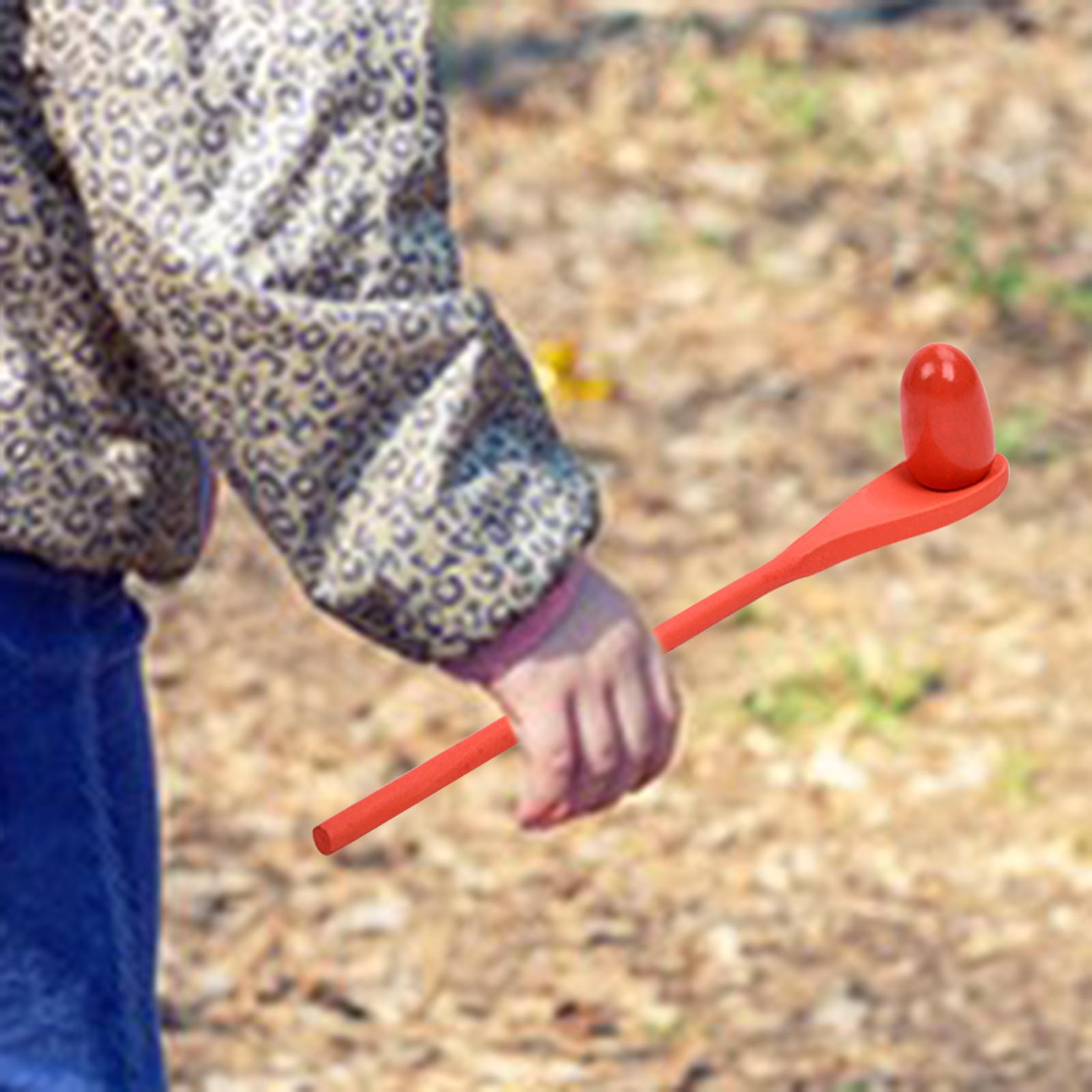 6 Pieces Egg Spoon Race Game H - Kids Outdoor Education review and price