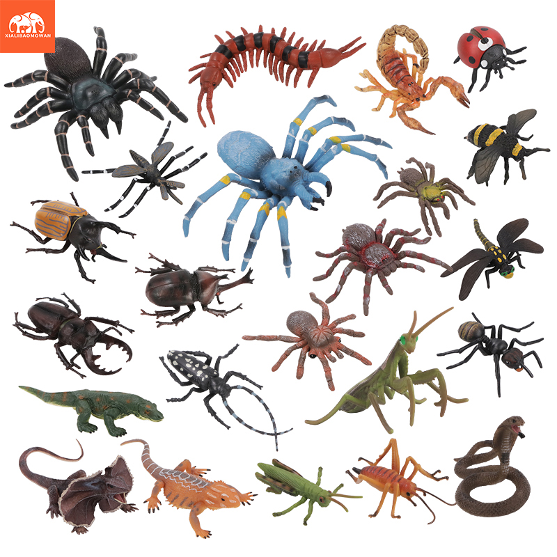 Educational Simulation Insect  - Kids Educational Box review and price
