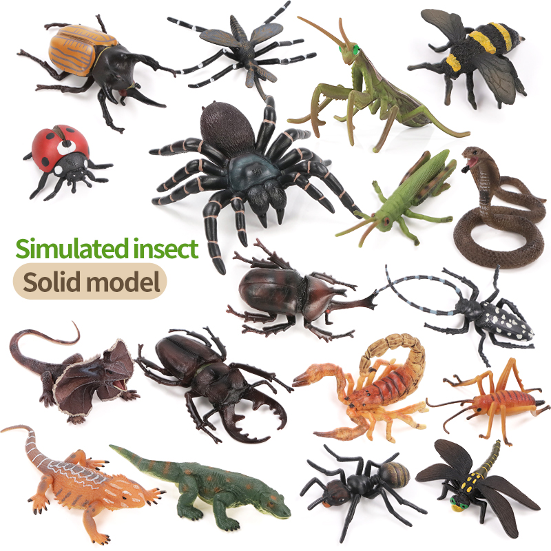 Educational Simulation Insect  - Kids Educational Box review and price