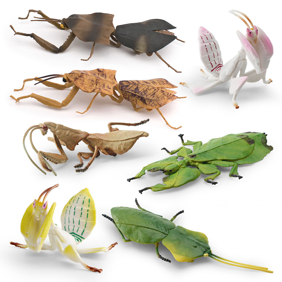 Realistic Orchid Mantis Dead L - Kids Educational Game review and price