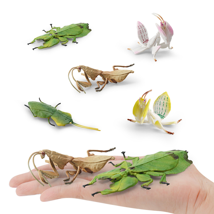 Realistic Orchid Mantis Dead L - Kids Educational Game review and price